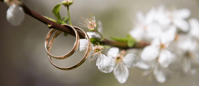 engagement rings on a flower branch